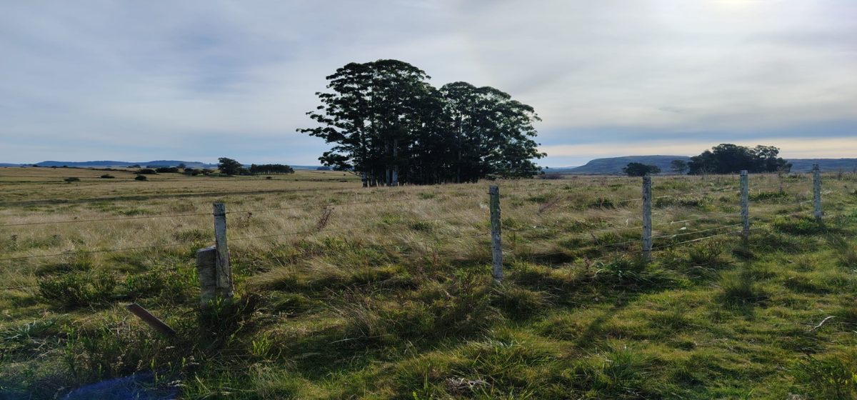 Campo de ciclo completo