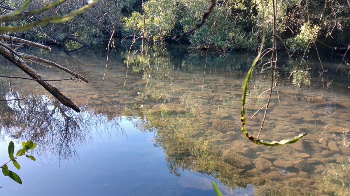 "EL ARROYO" -  Zona de Valle Edén. 