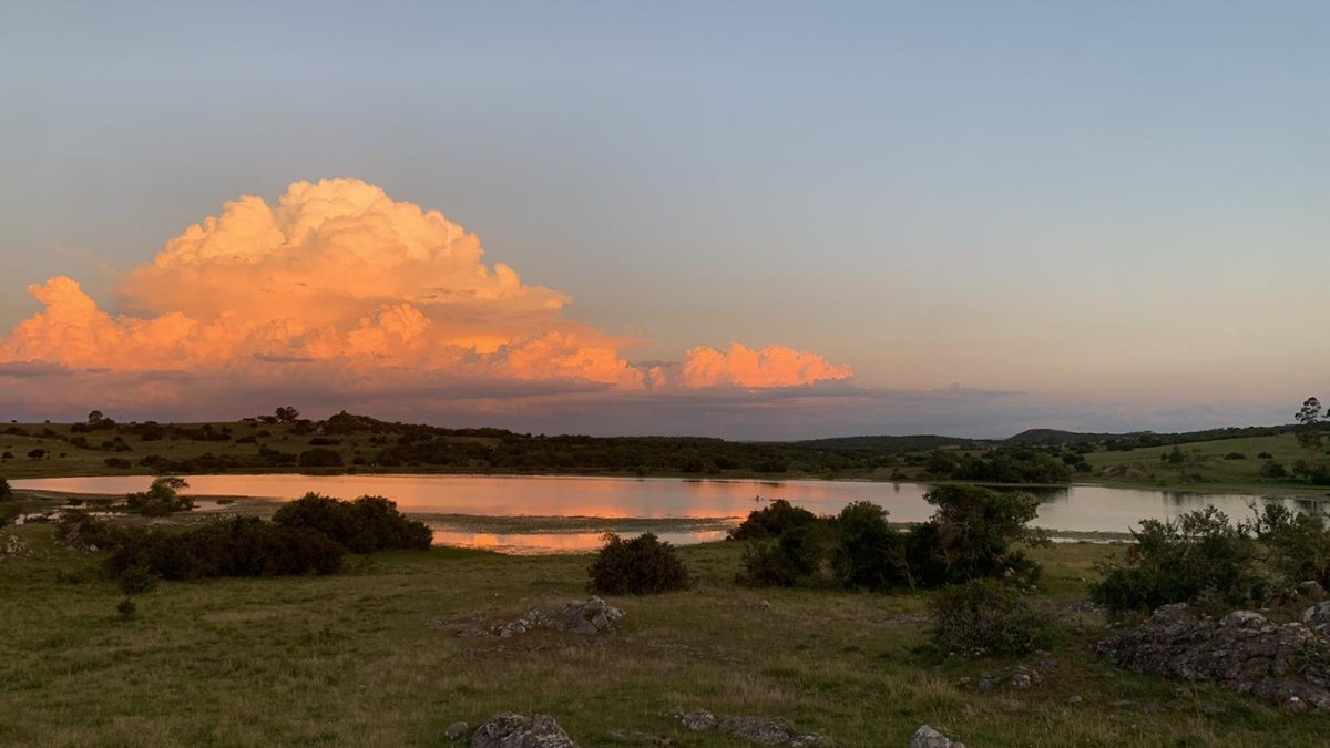 " EL LAGO"