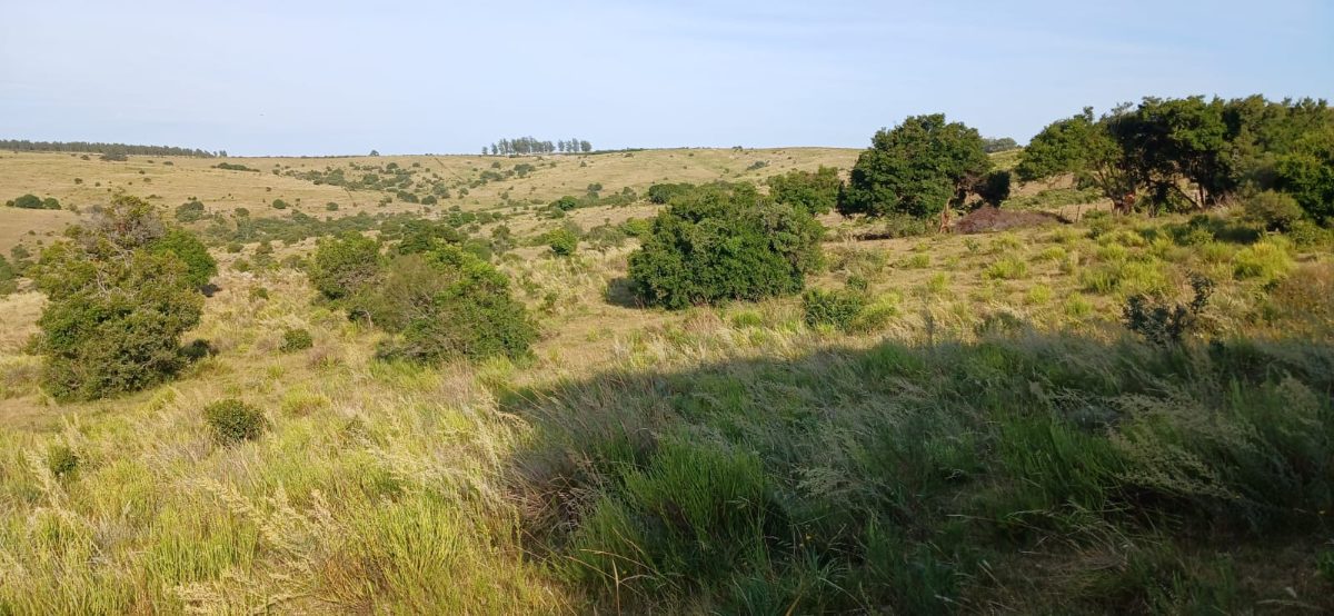 "EL PARAISO"
